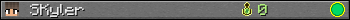 SKyler userbar 350x20