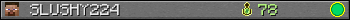 SLUSHY224 userbar 350x20