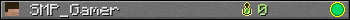 SMP_Gamer userbar 350x20