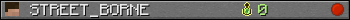 STREET_BORNE userbar 350x20