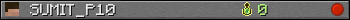 SUMIT_P10 userbar 350x20