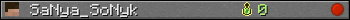 SaNya_SoNyk userbar 350x20