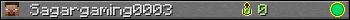 Sagargaming0003 userbar 350x20