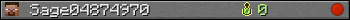 Sage04874970 userbar 350x20