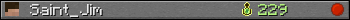 Saint_Jim userbar 350x20