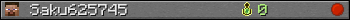 Saku625745 userbar 350x20