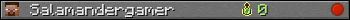 Salamandergamer userbar 350x20