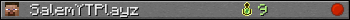 SalemYTPlayz userbar 350x20