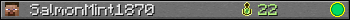 SalmonMint1870 userbar 350x20