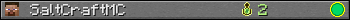 SaltCraftMC userbar 350x20