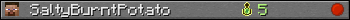 SaltyBurntPotato userbar 350x20