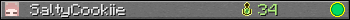 SaltyCookiie userbar 350x20