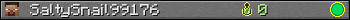 SaltySnail99176 userbar 350x20