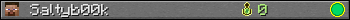 Saltyb00k userbar 350x20