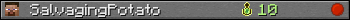 SalvagingPotato userbar 350x20