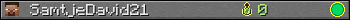 SamtjeDavid21 userbar 350x20