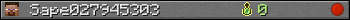 Sape027945303 userbar 350x20