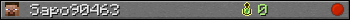 Sapo90463 userbar 350x20