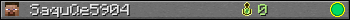 SaquQe5904 userbar 350x20
