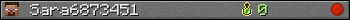 Sara6873451 userbar 350x20