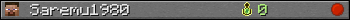 Saremu1980 userbar 350x20