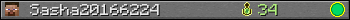 Sasha20166224 userbar 350x20