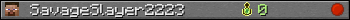 SavageSlayer2223 userbar 350x20