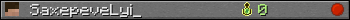 SaxepeveLyi_ userbar 350x20