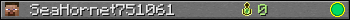 SeaHornet751061 userbar 350x20