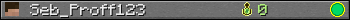 Seb_Proff123 userbar 350x20