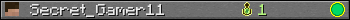 Secret_Gamer11 userbar 350x20