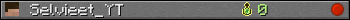 Selvieet_YT userbar 350x20