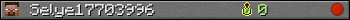 Selye17703996 userbar 350x20