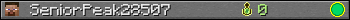 SeniorPeak28507 userbar 350x20