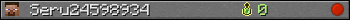 Seru24598934 userbar 350x20