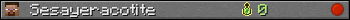 Sesayeracotite userbar 350x20