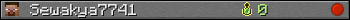 Sewakya7741 userbar 350x20