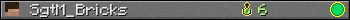 Юзербар 350x20 для SgtM_Bricks