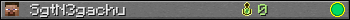 SgtN3gachu userbar 350x20