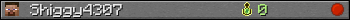 Shiggy4307 userbar 350x20