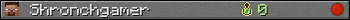 Shronchgamer userbar 350x20