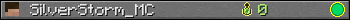 SilverStorm_MC userbar 350x20