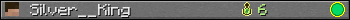 Silver__King userbar 350x20