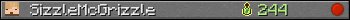 SizzleMcGrizzle userbar 350x20