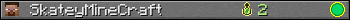 SkateyMineCraft userbar 350x20