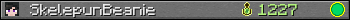 SkelepunBeanie userbar 350x20