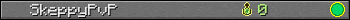 SkeppyPvP userbar 350x20