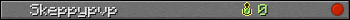 Skeppypvp userbar 350x20