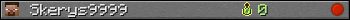 Skerys9999 userbar 350x20
