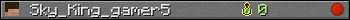 Sky_King_gamer5 userbar 350x20